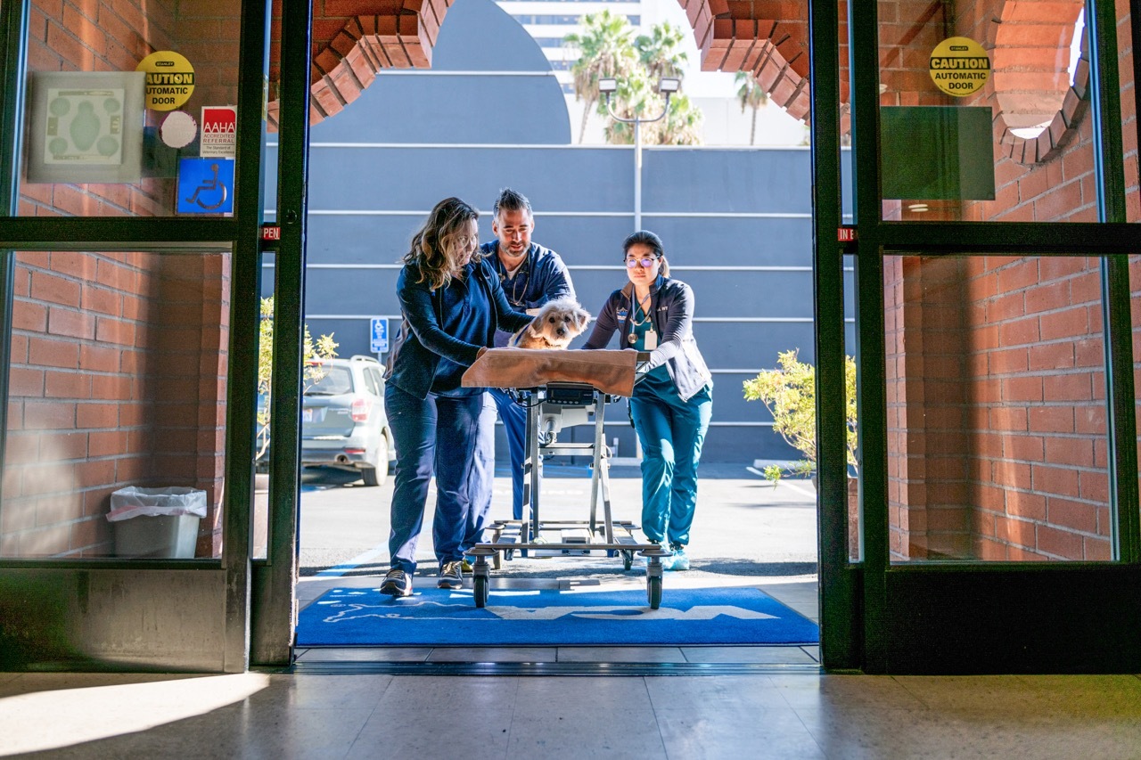 Three Ways Leaders Can Better Prevent Mental Health Crises at Work — Before They Happen